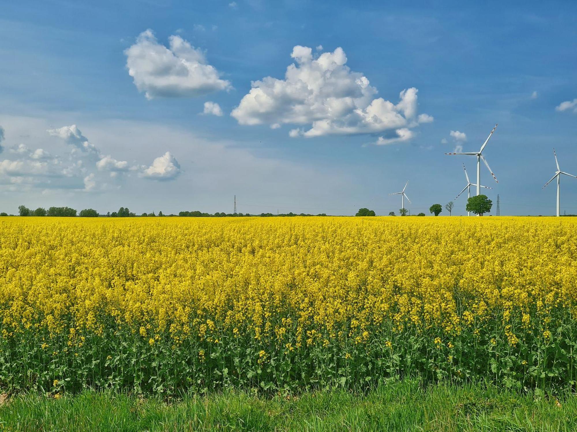 Agroturystyka Nowy Krakow Jezyce Luaran gambar